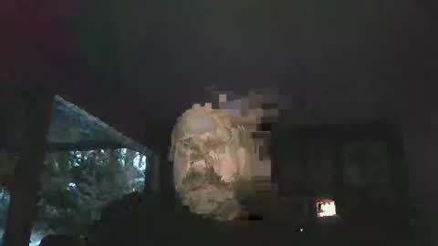 bulldog302w online show from February 2, 10:41 pm