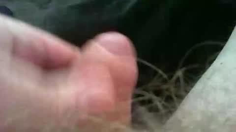 bullemoe online show from November 2, 11:23 am