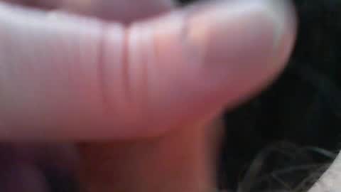 bullemoe online show from February 15, 7:51 am