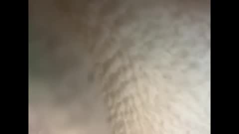 Snapshot of bullhungcub chatting on December 5, 11:40 pm bull cub online show from December 5, 11:40 pm