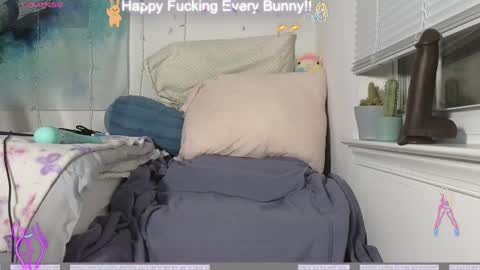 Snapshot of bunnycheekz chatting on December 4, 11:24 pm Tokki bunny online show from December 4, 11:24 pm