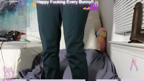 Snapshot of bunnycheekz chatting on December 12, 2:37 am Tokki bunny online show from December 12, 2:37 am