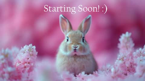 Stella online show from May 10, 9:53 pm