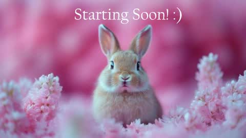 Stella online show from May 20, 10:05 pm