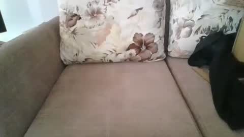 Snapshot of burak20x chatting on October 30, 7:10 am burak20x online show from October 30, 7:10 am