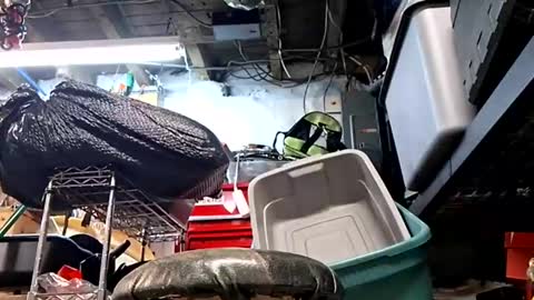 Snapshot of bushdoctor1 chatting on September 10, 9:53 am bushdoctor1 online show from September 10, 9:53 am