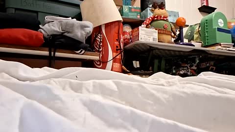 Snapshot of bushdoctor1 chatting on September 23, 7:22 am bushdoctor1 online show from September 23, 7:22 am