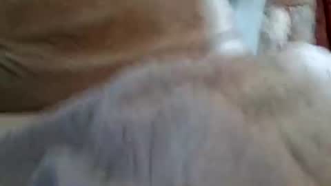 Snapshot of buster18hymen chatting on February 1, 10:08 pm Buster18Hymen online show from February 1, 10:08 pm