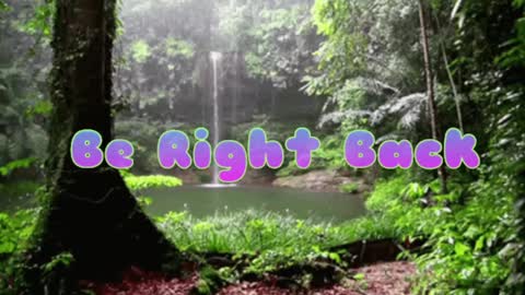 Snapshot of butterflyandbear chatting on December 8, 9:19 pm Butterfly and Bear online show from December 8, 9:19 pm