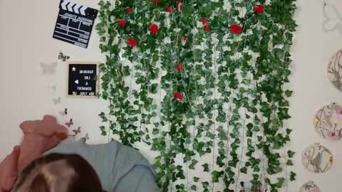 butterfly booty online show from November 14, 10:47 am