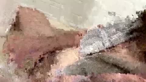 Snapshot of buzzed_gaming chatting on February 17, 5:14 am buzzed_gaming online show from February 17, 5:14 am