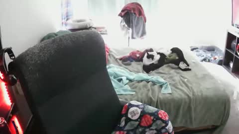 Snapshot of bxbydior chatting on December 13, 7:53 pm bxbydior online show from December 13, 7:53 pm