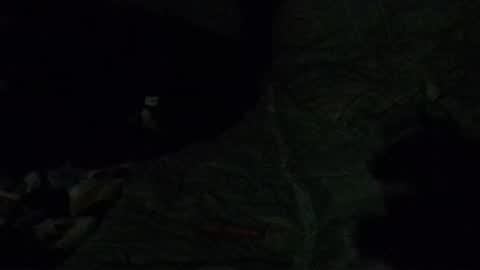 Snapshot of calisguitar chatting on December 29, 7:39 am Calisguitar online show from December 29, 7:39 am