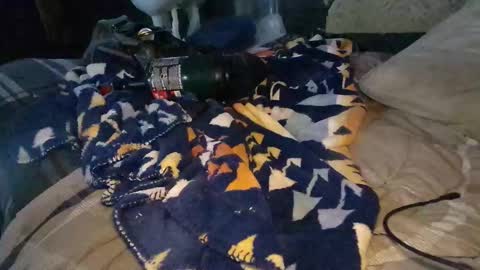 Snapshot of calisguitar chatting on December 29, 9:30 pm Calisguitar online show from December 29, 9:30 pm