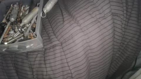 Snapshot of calisguitar chatting on February 13, 11:17 am Calisguitar online show from February 13, 11:17 am