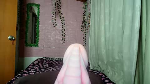paula online show from April 12, 7:57 am