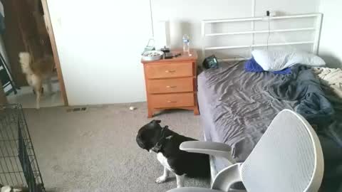 Snapshot of calvin420420 chatting on May 4, 6:37 pm longjohn74 online show from May 4, 6:37 pm