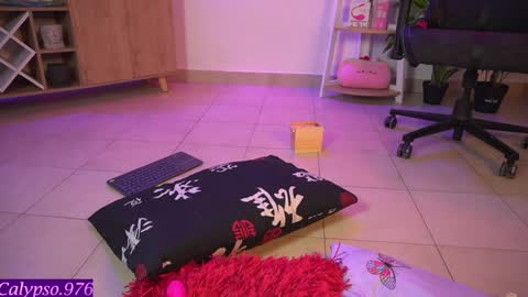 Calypso and Kayla online show from January 13, 3:01 am