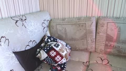 Snapshot of cameron_crowly chatting on January 17, 9:17 am Cameron online show from January 17, 9:17 am