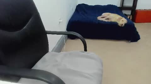Snapshot of camila_berk chatting on July 10, 8:33 pm Cami online show from July 10, 8:33 pm
