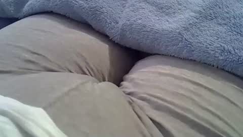 flash 50 tokens BIG CLIT  tits pussy. masturbation big clit 150 tokens fingers inside pussy 1000 tk  pump big clit 300 tk online show from September 24, 4:32 pm