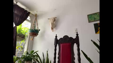  Camille   online show from November 8, 2:39 pm