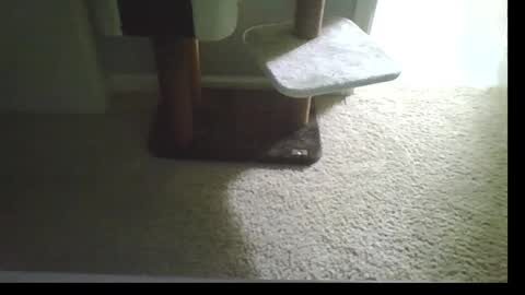 Snapshot of cammyman6900 chatting on September 21, 4:47 am cammyman6900 online show from September 21, 4:47 am