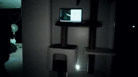 Snapshot of cammyman6900 chatting on July 27, 4:08 am cammyman6900 online show from July 27, 4:08 am