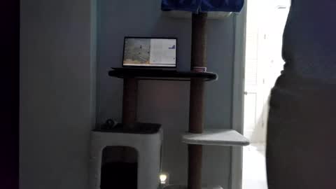 Snapshot of cammyman6900 chatting on August 1, 5:29 am cammyman6900 online show from August 1, 5:29 am