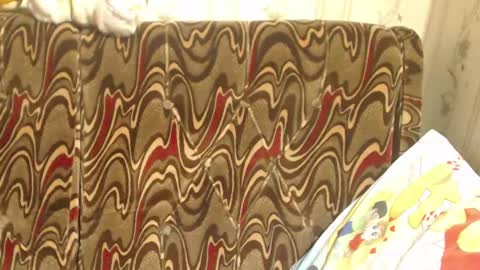 Snapshot of candylady136 chatting on March 2, 1:05 pm say meow and send tip online show from March 2, 1:05 pm