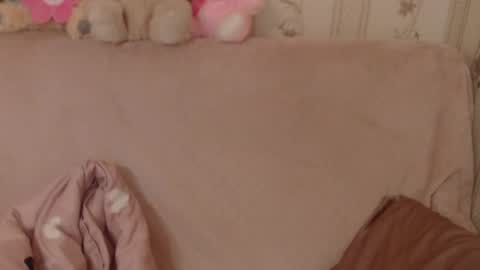 Snapshot of candylady136 chatting on June 3, 8:39 am say meow and send tip online show from June 3, 8:39 am