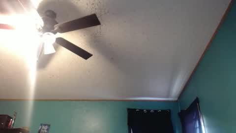 candyshop2024 online show from December 17, 12:55 pm