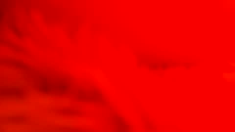 captain_nature online show from February 26, 7:09 am