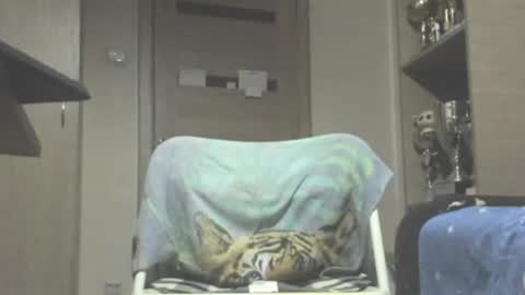 Snapshot of carin_the_body chatting on July 11, 11:50 pm Laz online show from July 11, 11:50 pm