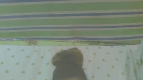 carinesexy69 online show from October 31, 10:16 am