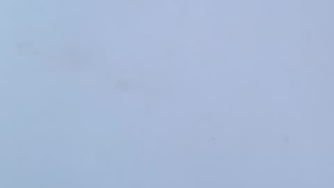 caro online show from February 16, 3:24 am