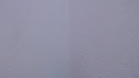 Snapshot of carolina_zabala_19 chatting on July 18, 5:06 pm carolina_zabala_19 online show from July 18, 5:06 pm