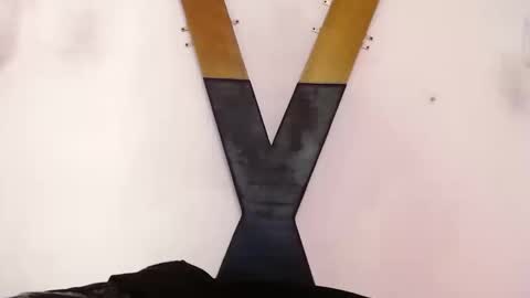 carolina online show from September 19, 2:51 pm