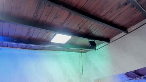 Snapshot of caroline_palmerr chatting on February 1, 3:27 am Carolina online show from February 1, 3:27 am