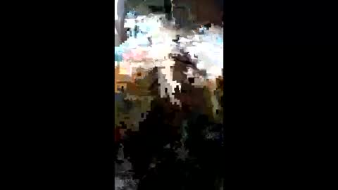 carrilloeverardo219 online show from March 23, 11:31 pm