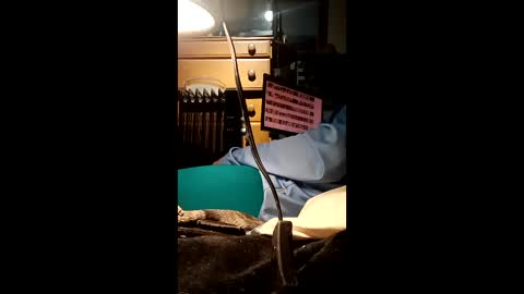 caryb online show from February 24, 8:56 am