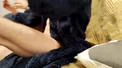 Snapshot of casal_301 chatting on February 23, 10:20 pm casal_301 online show from February 23, 10:20 pm