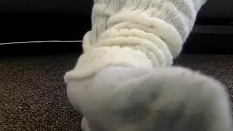 cash13bychanel online show from December 4, 7:00 pm