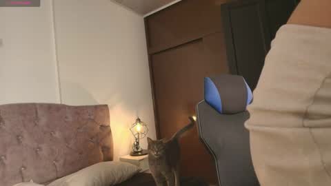 Snapshot of cata2319 chatting on June 3, 12:08 pm catalina online show from June 3, 12:08 pm