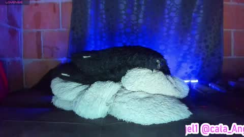 Cata Angel online show from April 28, 12:09 am