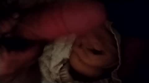 Snapshot of catdaddy179057 chatting on February 24, 11:30 am catdaddy179057 online show from February 24, 11:30 am