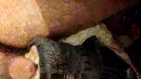 Snapshot of catdaddy179057 chatting on March 1, 2:19 pm catdaddy179057 online show from March 1, 2:19 pm