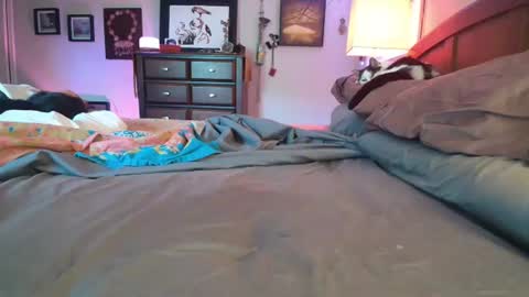 Snapshot of catnips_cabaret chatting on July 4, 5:19 pm some call me djcatnips some call me CC but i love it when you call me miss catnips online show from July 4, 5:19 pm