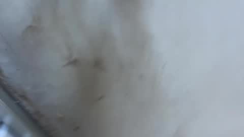 ccwwa01 online show from May 8, 6:52 am