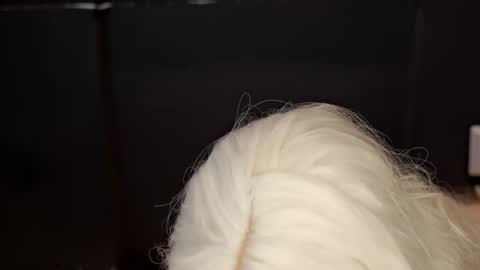 Snapshot of celeste_madson chatting on February 14, 10:49 am Celeste Madson online show from February 14, 10:49 am